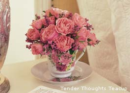 TPink Roses Teacup Sympathy Flowers